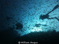 Just a little picture i took just off Hin Daeng - Thailand by William Angus 